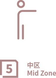中区 Mid Zone